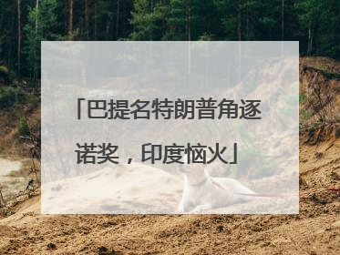 巴提名特朗普角逐诺奖，印度恼火