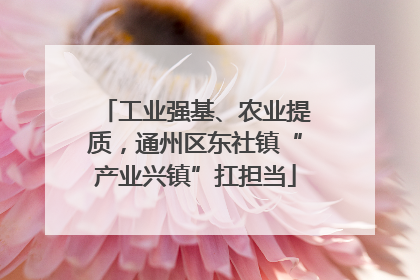 工业强基、农业提质，通州区东社镇“产业兴镇”扛担当