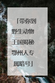 带你到野生动物王国揭秘鄂州人专属暗号