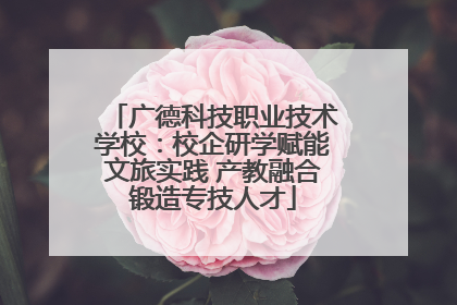 广德科技职业技术学校：校企研学赋能文旅实践 产教融合锻造专技人才