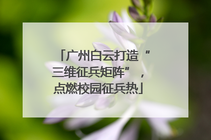 广州白云打造“三维征兵矩阵”，点燃校园征兵热