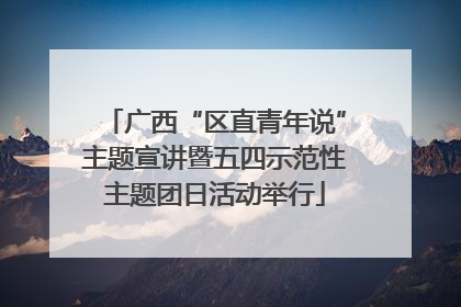 广西“区直青年说”主题宣讲暨五四示范性主题团日活动举行