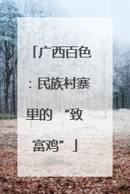广西百色：民族村寨里的 “致富鸡”