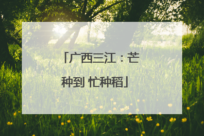 广西三江：芒种到 忙种稻