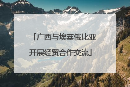广西与埃塞俄比亚开展经贸合作交流