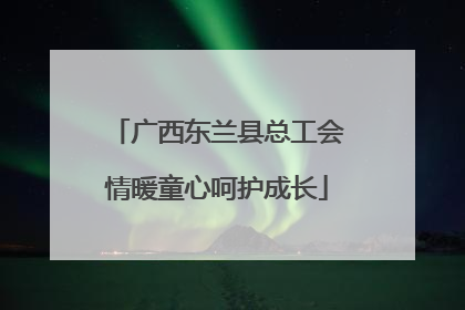 广西东兰县总工会情暖童心呵护成长