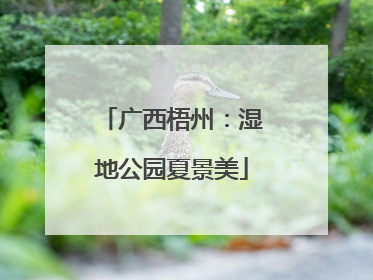 广西梧州：湿地公园夏景美
