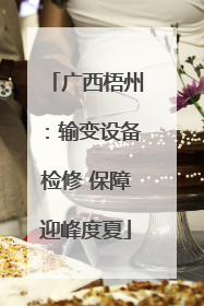 广西梧州：输变设备检修 保障迎峰度夏