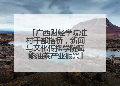 广西财经学院驻村干部搭桥，新闻与文化传播学院赋能油茶产业振兴