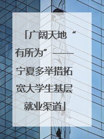 广阔天地“有所为”——宁夏多举措拓宽大学生基层就业渠道