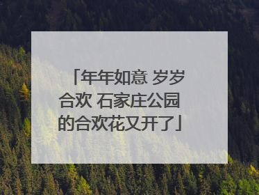 年年如意 岁岁合欢 石家庄公园的合欢花又开了