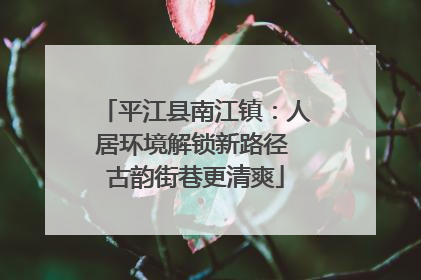 平江县南江镇：人居环境解锁新路径 古韵街巷更清爽