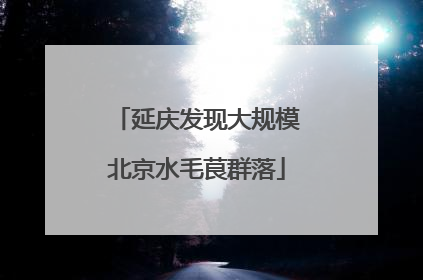 延庆发现大规模北京水毛茛群落