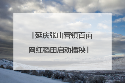 延庆张山营镇百亩网红稻田启动插秧