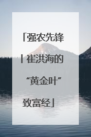 强农先锋丨崔洪海的“黄金叶”致富经