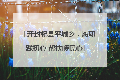 开封杞县平城乡：履职践初心 帮扶暖民心