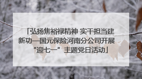 弘扬焦裕禄精神 实干担当建新功—国元保险河南分公司开展“迎七一”主题党日活动