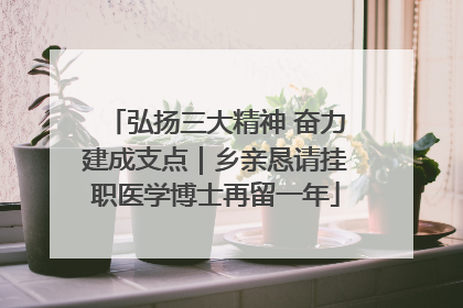 弘扬三大精神 奋力建成支点｜乡亲恳请挂职医学博士再留一年