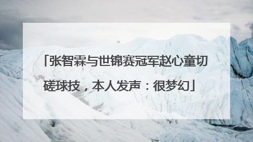张智霖与世锦赛冠军赵心童切磋球技，本人发声：很梦幻