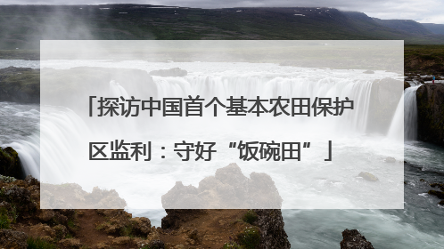 探访中国首个基本农田保护区监利：守好“饭碗田”