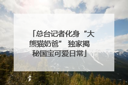 总台记者化身“大熊猫奶爸” 独家揭秘国宝可爱日常