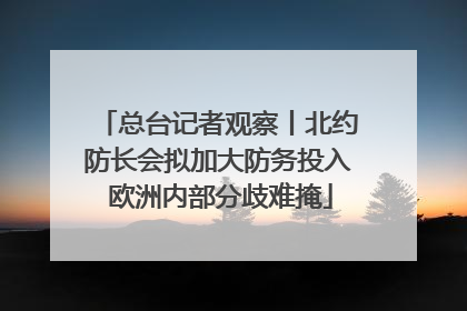 总台记者观察丨北约防长会拟加大防务投入 欧洲内部分歧难掩