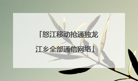 怒江移动抢通独龙江乡全部通信网络