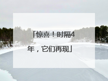 惊喜！时隔4年，它们再现