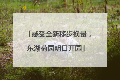 感受全新移步换景，东湖荷园明日开园