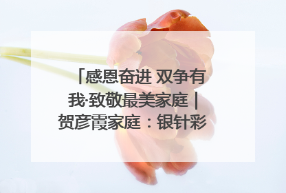 感恩奋进 双争有我·致敬最美家庭｜贺彦霞家庭：银针彩线绣出好日子