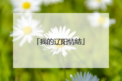 我的辽阳情结