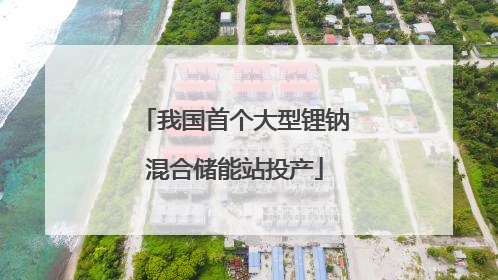 我国首个大型锂钠混合储能站投产