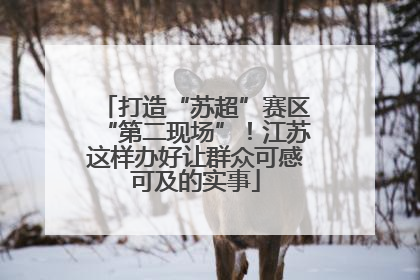 打造“苏超”赛区“第二现场”！江苏这样办好让群众可感可及的实事