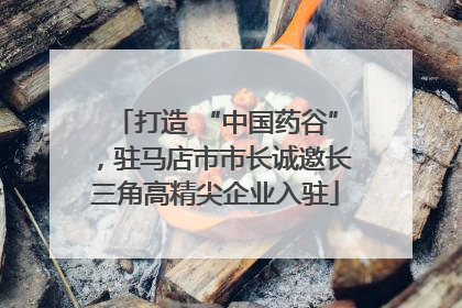 打造 “中国药谷”，驻马店市市长诚邀长三角高精尖企业入驻