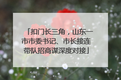 扣门长三角，山东一市市委书记、市长接连带队招商谋深度对接