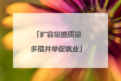 扩容量提质量 多措并举促就业