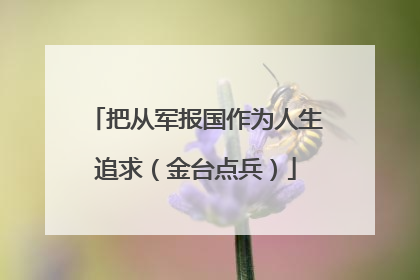 把从军报国作为人生追求（金台点兵）