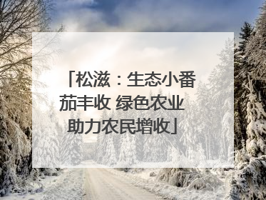 松滋：生态小番茄丰收 绿色农业助力农民增收