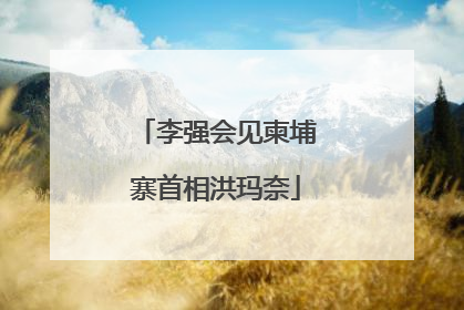 李强会见柬埔寨首相洪玛奈