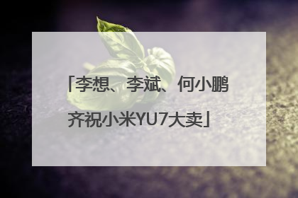 李想、李斌、何小鹏齐祝小米YU7大卖