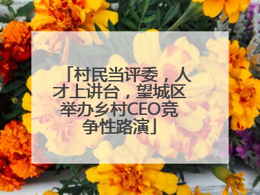 村民当评委，人才上讲台，望城区举办乡村CEO竞争性路演
