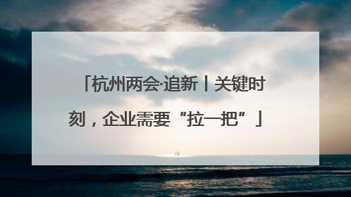 杭州两会·追新丨关键时刻，企业需要“拉一把”