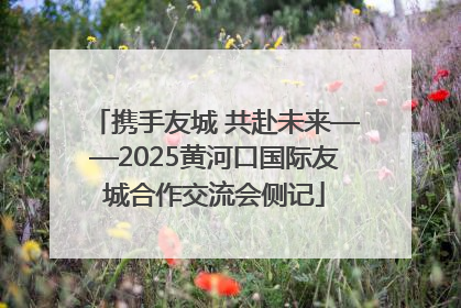 携手友城 共赴未来——2025黄河口国际友城合作交流会侧记