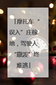 摩托车“误入”庄稼地，驾驶人“撒泼”终难逃