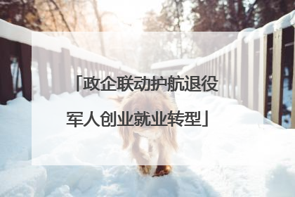 政企联动护航退役军人创业就业转型