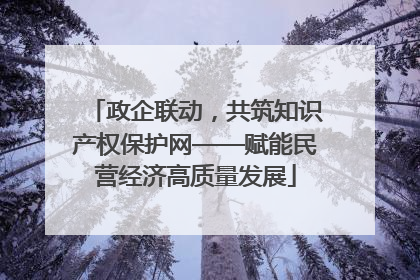政企联动，共筑知识产权保护网——赋能民营经济高质量发展