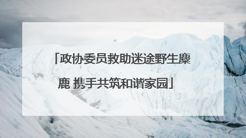政协委员救助迷途野生麋鹿 携手共筑和谐家园