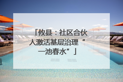 攸县：社区合伙人激活基层治理“一池春水”