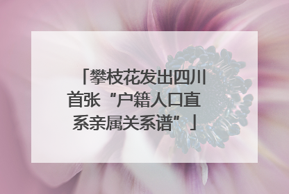 攀枝花发出四川首张“户籍人口直系亲属关系谱”