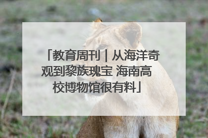教育周刊｜从海洋奇观到黎族瑰宝 海南高校博物馆很有料